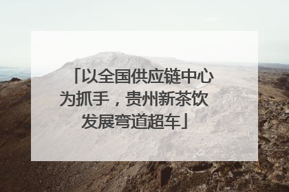 以全国供应链中心为抓手，贵州新茶饮发展弯道超车