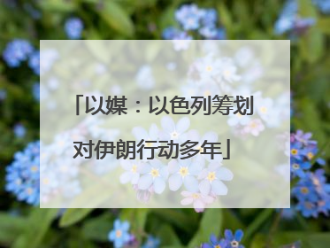 以媒：以色列筹划对伊朗行动多年