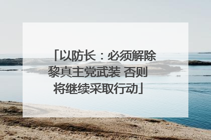 以防长：必须解除黎真主党武装 否则将继续采取行动