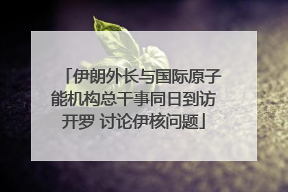 伊朗外长与国际原子能机构总干事同日到访开罗 讨论伊核问题