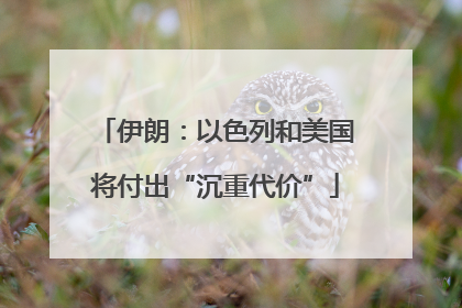 伊朗：以色列和美国将付出“沉重代价”
