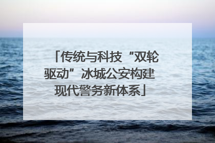 传统与科技“双轮驱动”冰城公安构建现代警务新体系