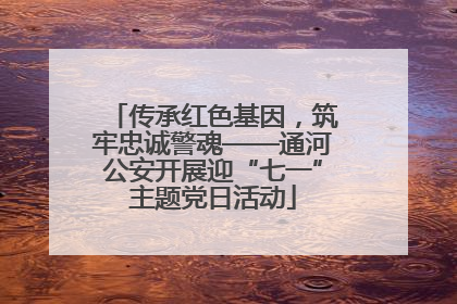 传承红色基因，筑牢忠诚警魂——通河公安开展迎“七一”主题党日活动
