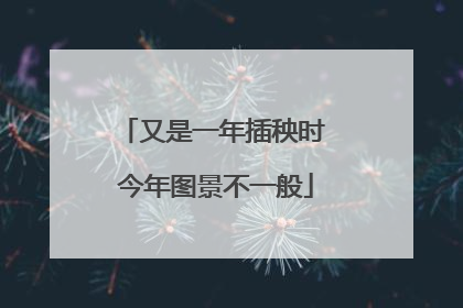 又是一年插秧时 今年图景不一般