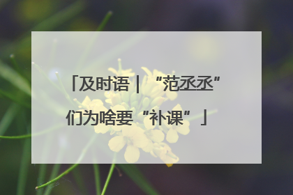 及时语｜“范丞丞”们为啥要“补课”