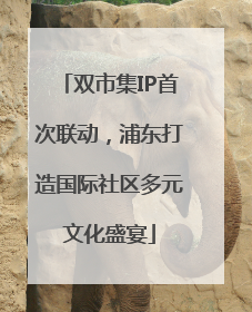 双市集IP首次联动，浦东打造国际社区多元文化盛宴