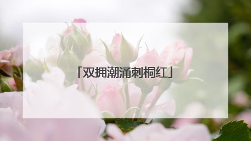 双拥潮涌刺桐红