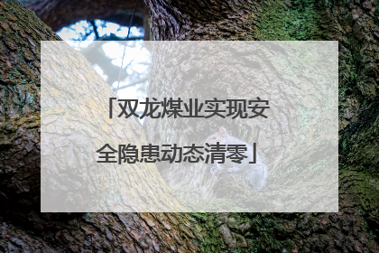 双龙煤业实现安全隐患动态清零