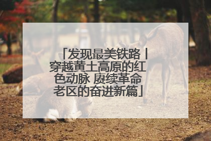 发现最美铁路丨穿越黄土高原的红色动脉 赓续革命老区的奋进新篇