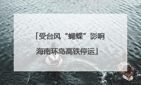 受台风“蝴蝶”影响 海南环岛高铁停运
