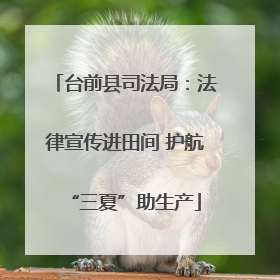 台前县司法局：法律宣传进田间 护航“三夏”助生产