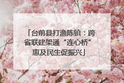 台前县打渔陈镇：跨省联建架通“连心桥” 惠及民生促振兴