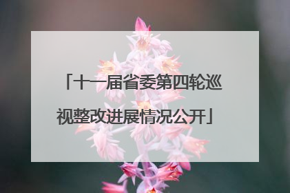 十一届省委第四轮巡视整改进展情况公开