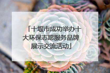 十堰市成功举办十大环保志愿服务品牌展示交流活动