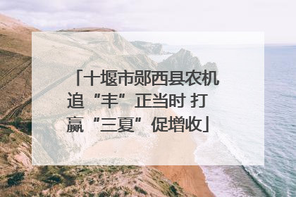 十堰市郧西县农机追“丰”正当时 打赢“三夏”促增收