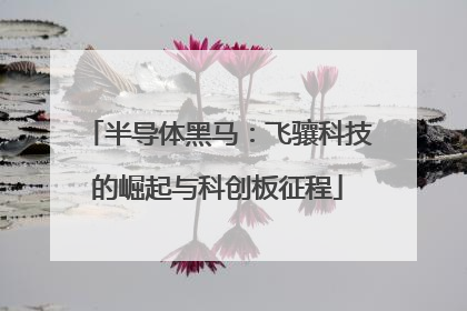 半导体黑马：飞骧科技的崛起与科创板征程