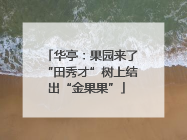 华亭：果园来了“田秀才”树上结出“金果果”