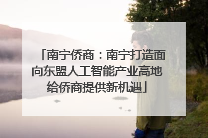 南宁侨商：南宁打造面向东盟人工智能产业高地给侨商提供新机遇