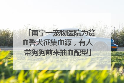 南宁一宠物医院为贫血警犬征集血源，有人带狗狗前来抽血配型