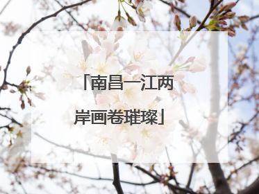 南昌一江两岸画卷璀璨