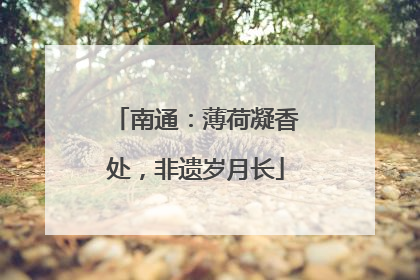 南通：薄荷凝香处，非遗岁月长