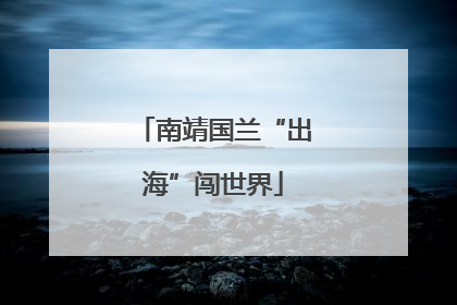 南靖国兰“出海”闯世界