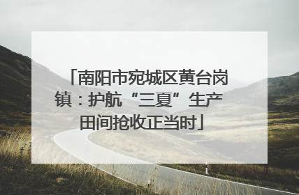 南阳市宛城区黄台岗镇：护航“三夏”生产 田间抢收正当时
