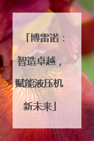 博雷诺：智造卓越，赋能液压机新未来