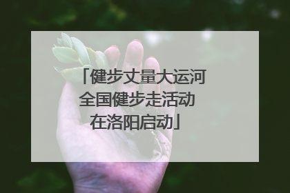 健步丈量大运河 全国健步走活动在洛阳启动