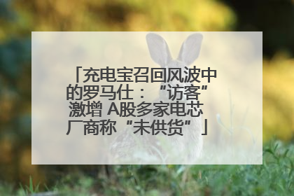 充电宝召回风波中的罗马仕：“访客”激增 A股多家电芯厂商称“未供货”