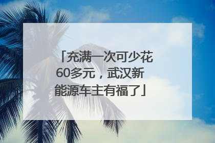 充满一次可少花60多元，武汉新能源车主有福了