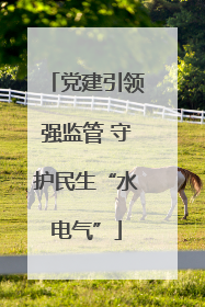 党建引领强监管 守护民生“水电气”