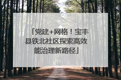 党建+网格！宝丰县铁北社区探索高效能治理新路径