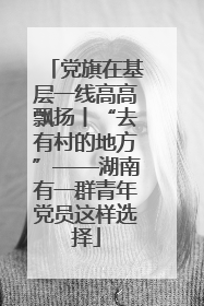 党旗在基层一线高高飘扬丨“去有村的地方”——湖南有一群青年党员这样选择