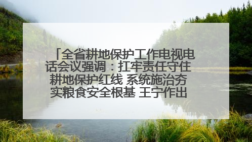 全省耕地保护工作电视电话会议强调：扛牢责任守住耕地保护红线 系统施治夯实粮食安全根基 王宁作出批示 王予波出席并讲话