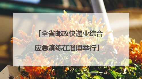 全省邮政快递业综合应急演练在淄博举行