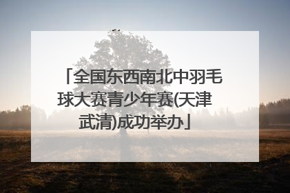 全国东西南北中羽毛球大赛青少年赛(天津武清)成功举办