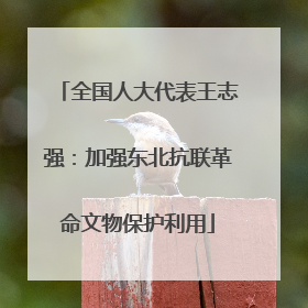 全国人大代表王志强：加强东北抗联革命文物保护利用