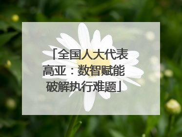 全国人大代表高亚：数智赋能破解执行难题