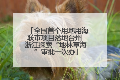 全国首个用地用海联审项目落地台州 浙江探索“地林草海”审批一次办