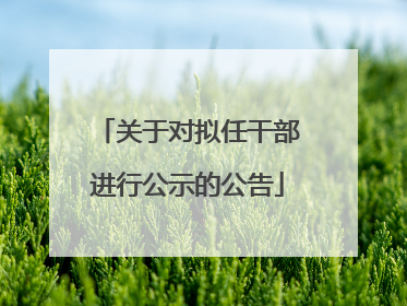 关于对拟任干部进行公示的公告