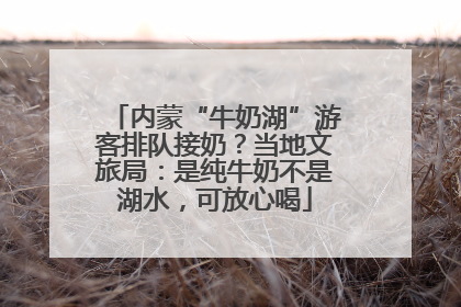 内蒙“牛奶湖”游客排队接奶？当地文旅局：是纯牛奶不是湖水，可放心喝