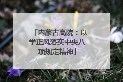 内蒙古高院：以学正风落实中央八项规定精神