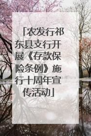 农发行祁东县支行开展《存款保险条例》施行十周年宣传活动