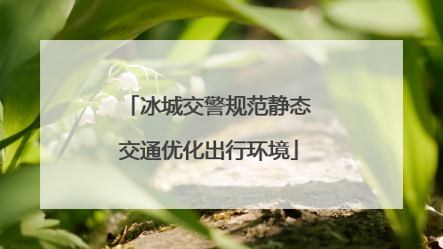 冰城交警规范静态交通优化出行环境