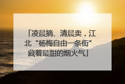 凌晨摘、清晨卖，江北“杨梅自由一条街”藏着最甜的烟火气