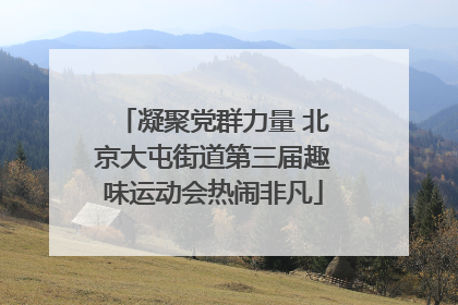 凝聚党群力量 北京大屯街道第三届趣味运动会热闹非凡
