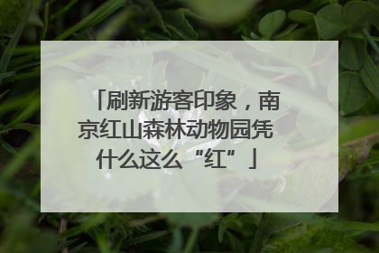 刷新游客印象，南京红山森林动物园凭什么这么“红”