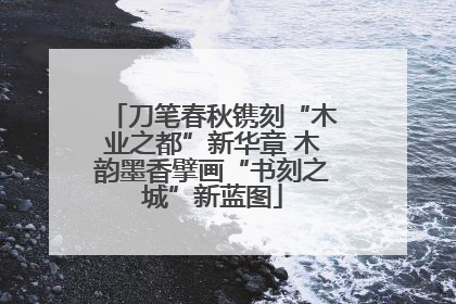 刀笔春秋镌刻“木业之都”新华章 木韵墨香擘画“书刻之城”新蓝图