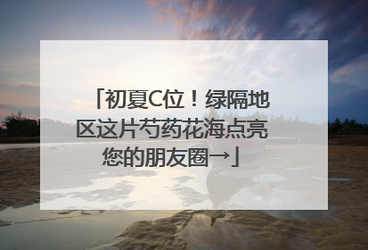 初夏C位！绿隔地区这片芍药花海点亮您的朋友圈→